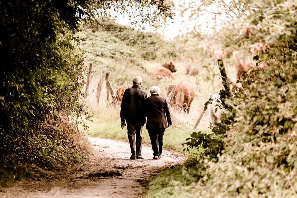 walking holidays on the isle of wight